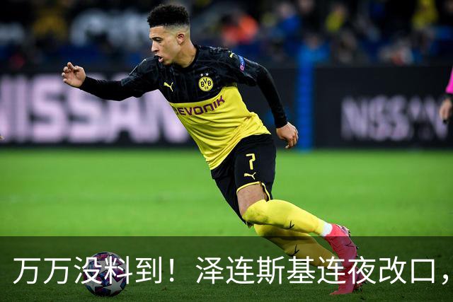 万万没料到！泽连斯基连夜改口，以舍北约换领土，西方都看呆了！