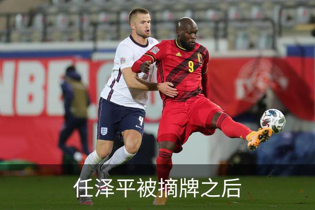 任泽平被摘牌之后