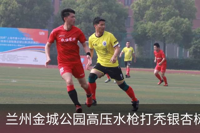 兰州金城公园高压水枪打秃银杏树，环卫公司负责人致歉：深刻检讨，两名涉事员工已停职