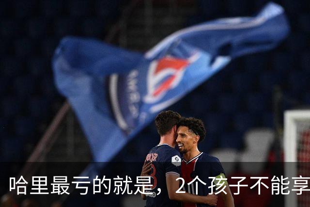 哈里最亏的就是，2个孩子不能享受王室生活，拥有王子公主的红利