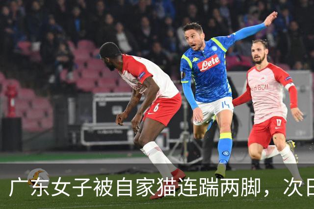 广东女子被自家猫连踹两脚，次日凌晨痛到送医，腹腔竟出血1000毫升！