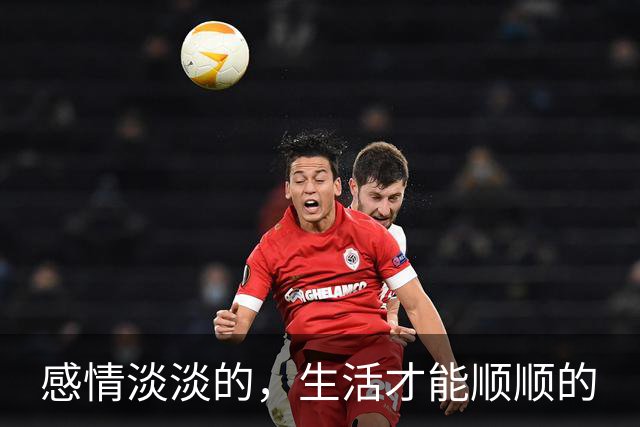 感情淡淡的，生活才能顺顺的