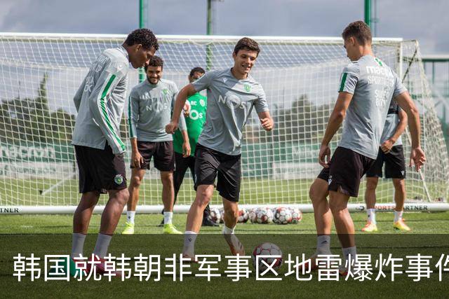 韩国就韩朝非军事区地雷爆炸事件致函联合国安理会