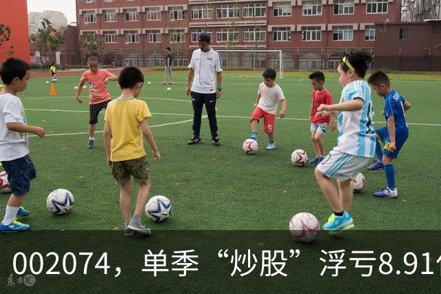 002074，单季“炒股”浮亏8.91亿