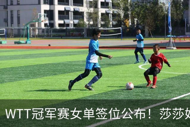 WTT冠军赛女单签位公布！莎莎好签，曼昱陈熠扎堆，蒯曼或战张本